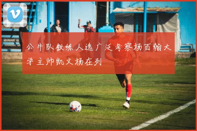 公牛队教练人选广泛考察杨百翰大学主帅凯文杨在列