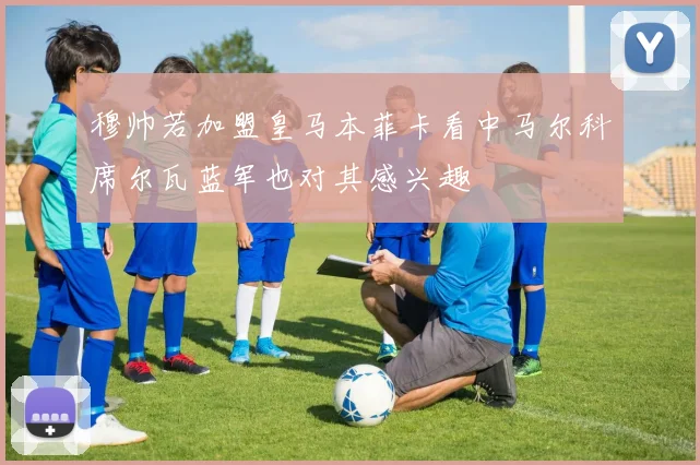 穆帅若加盟皇马本菲卡看中马尔科席尔瓦蓝军也对其感兴趣